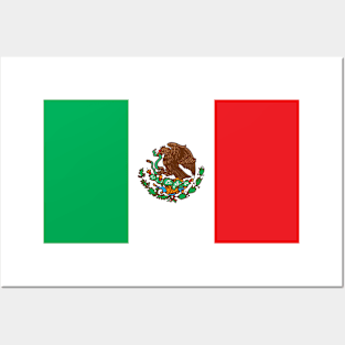 Mexican flag Posters and Art